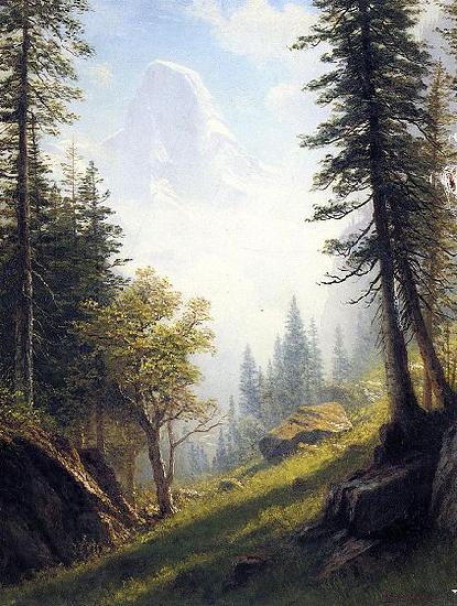 Albert Bierstadt Among the Bernese Alps China oil painting art